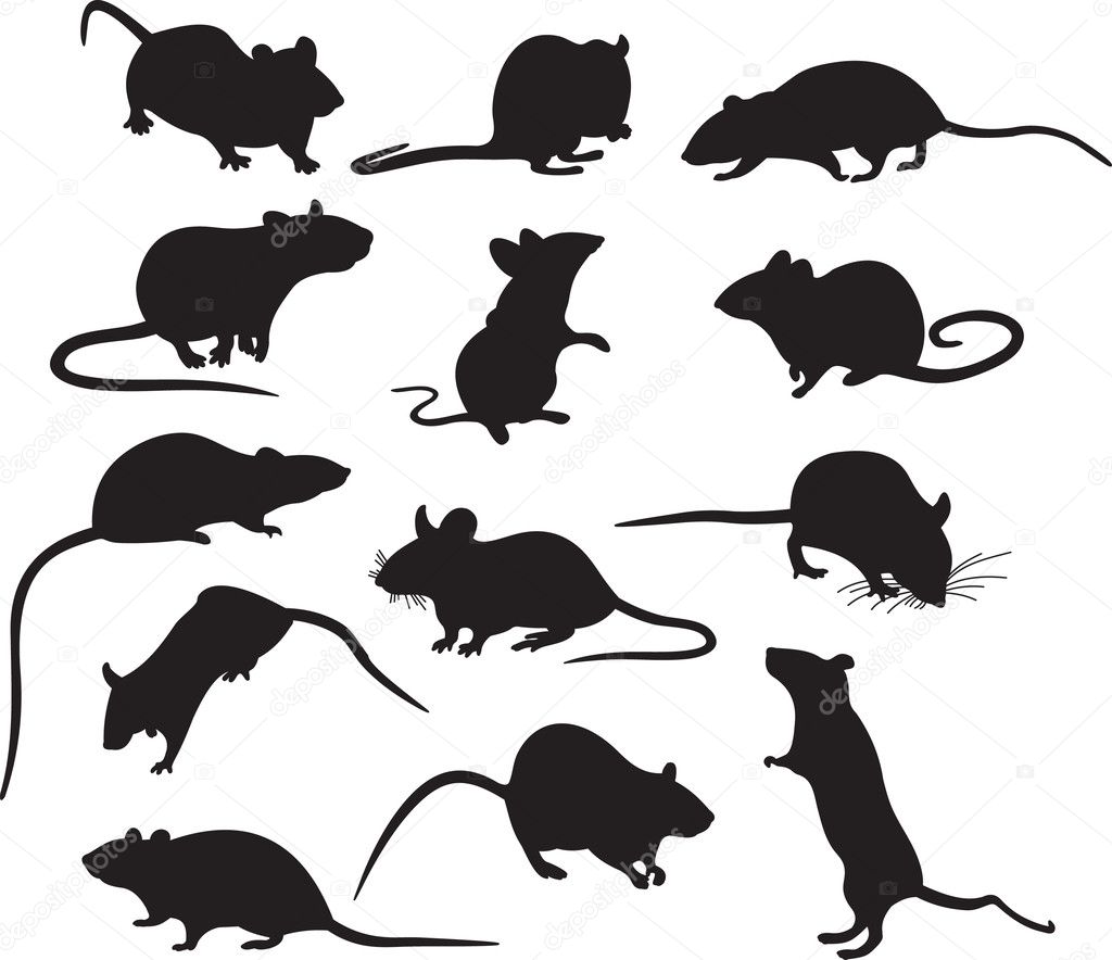 Imagens vetoriais de Rodents