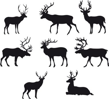 Deer vector clipart