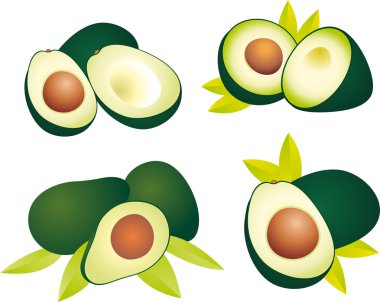 Avocado vector clipart