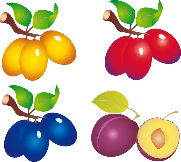 Vecteur de prunes — Image vectorielle