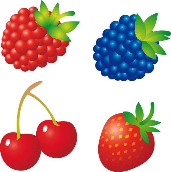 Vecteur Berry — Image vectorielle