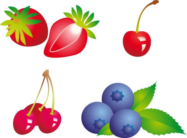 Berry vector — Stok Vektör