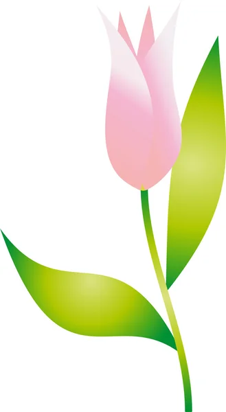 Vetor tulipa —  Vetores de Stock