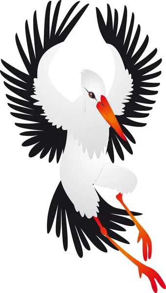 Stork vector — Stock Vector