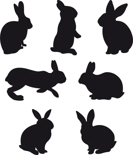 Kaninchenvektor — Stockvektor