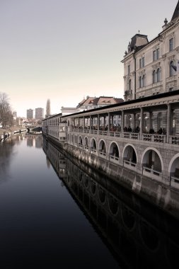 Ljubljana, Slovenya