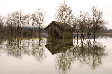 Flooded barn clipart