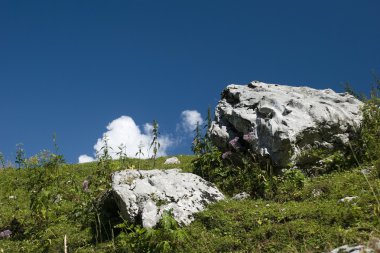 Julian alps, Slovenya