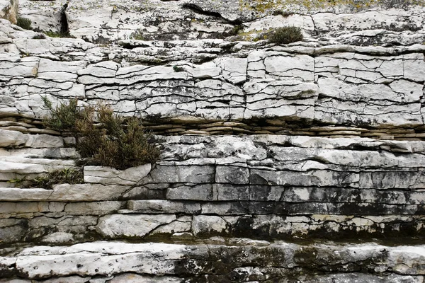 Limestone — Stock Photo, Image