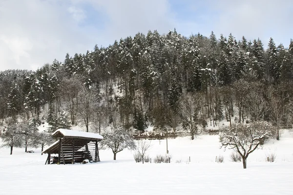 Winterlandschap en kozolec — Stockfoto