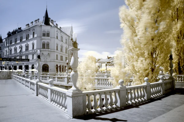 Ljubljana, Slovenya