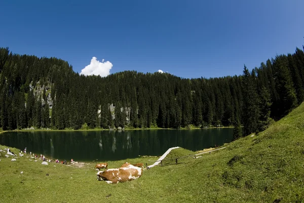 Julische Alpen — Stockfoto