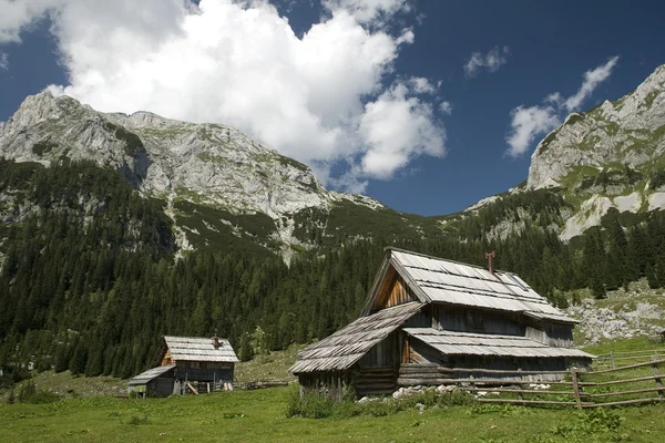 슬로베니아의 산 마 — 스톡 사진