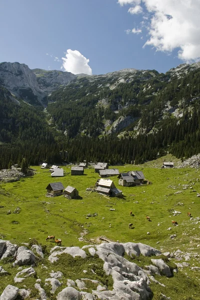 Alpine Village — Stockfoto