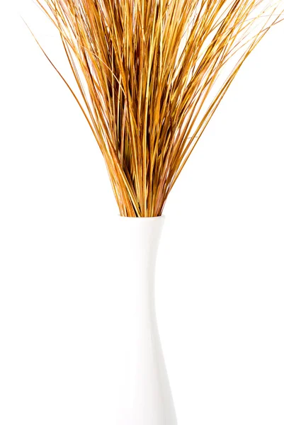 Dry grasses in white vase — Stock Photo, Image