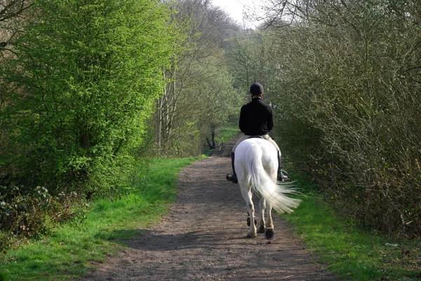 stock image Horse rider