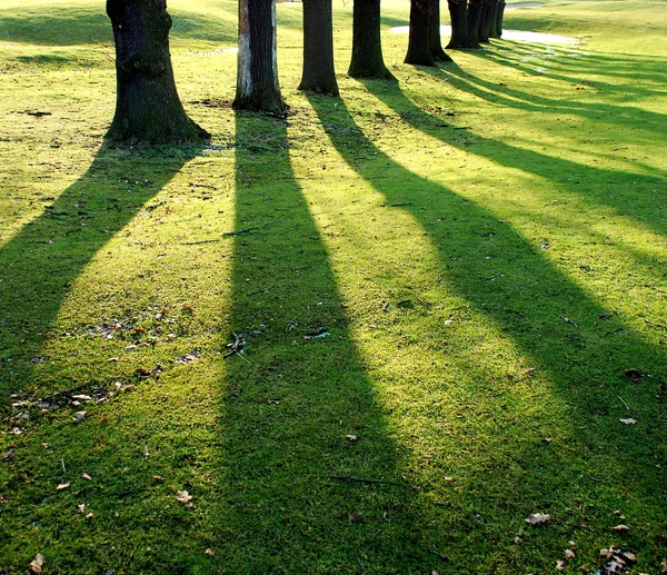 stock image Shadows