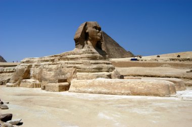 Kahire'deki büyük Sfenks