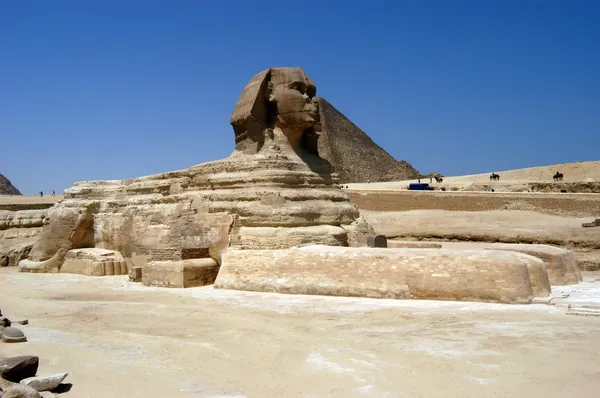 Великий сфинкс в Каире — стоковое фото