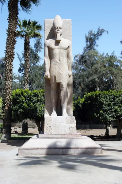 Colossus van ramses ii, Egypte — Stockfoto