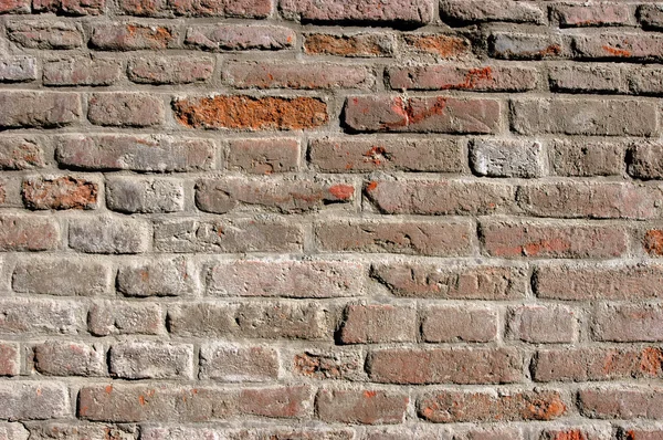 Mur en briques — Photo