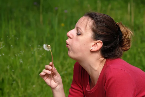Attractive female blowing a dandelion