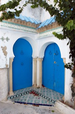 Tunus kapı