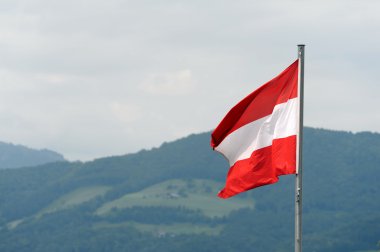 Flag of Austria clipart
