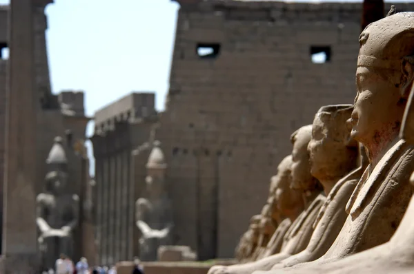 Sfinxer vid templet luxor, Egypten — Stockfoto