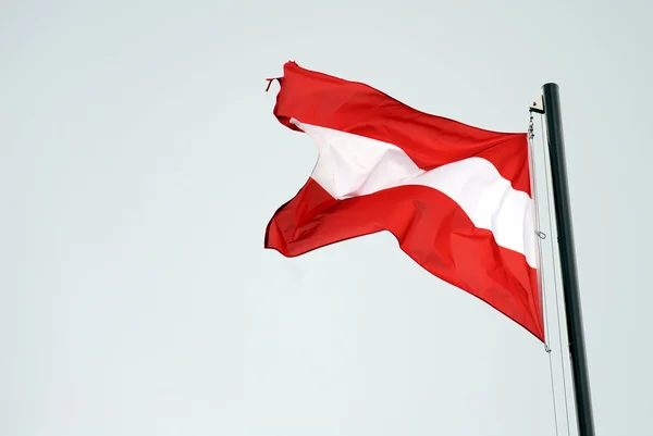 Osztrák zászlóFehérorosz zászló — Stock Fotó