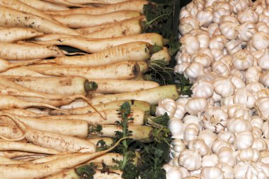 çeşitli sebze portre resim