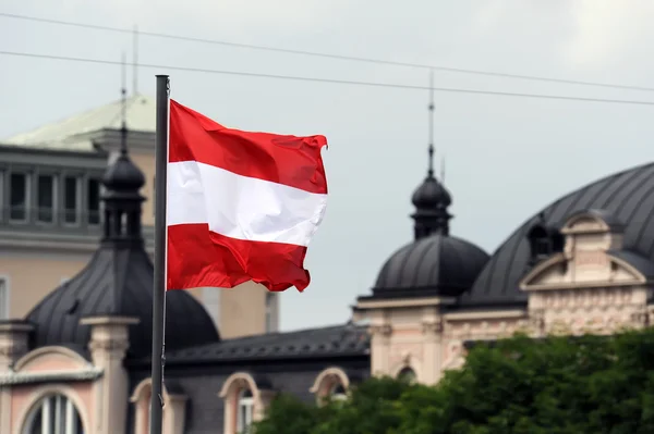 Austrian flag — Stock Photo, Image