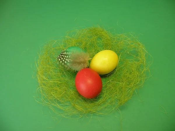 Nest and Easter Eggs — Stock Photo, Image