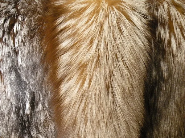 背景のキツネの毛皮 — ストック写真
