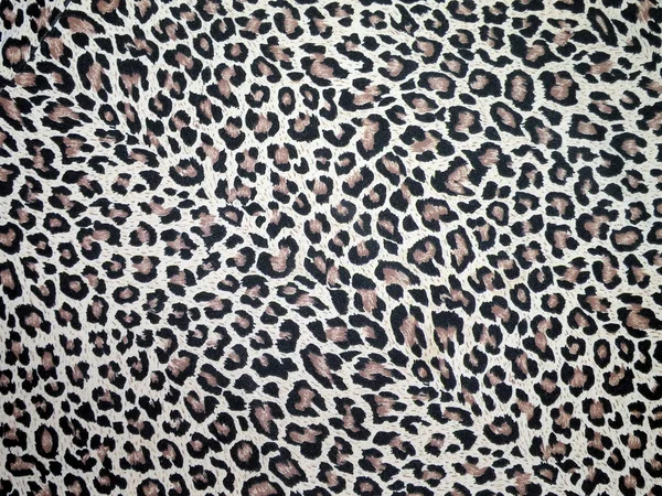 Leopard tyg Stockfoto