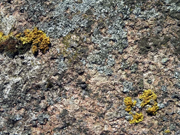 오래 된 돌 표면 — 스톡 사진