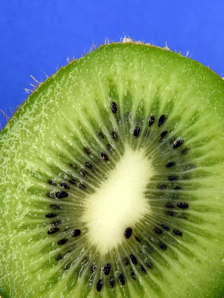 stock image Kiwi