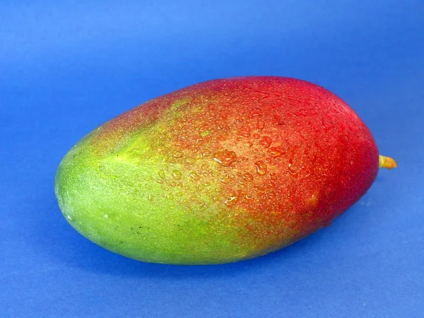 Mango frukt – stockfoto