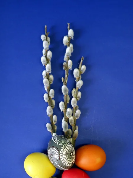 Wielkanoc egss i cipki wierzba — Zdjęcie stockowe