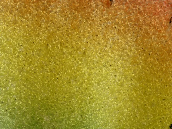다채로운 직물 개요 — 스톡 사진
