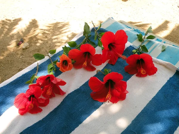 Цветы гибискуса на полотенце — стоковое фото