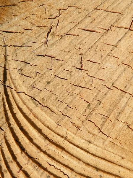 Holzoberfläche — Stockfoto