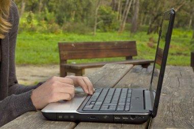 park içinde laptop yazarak