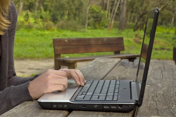 Digitação no laptop no parque — Fotografia de Stock