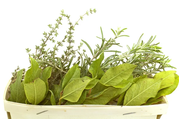 Aromatyczne zioła na białym tle — Zdjęcie stockowe