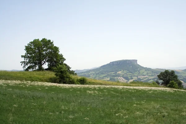 Landskap av kullarna i reggio emilia Stockfoto