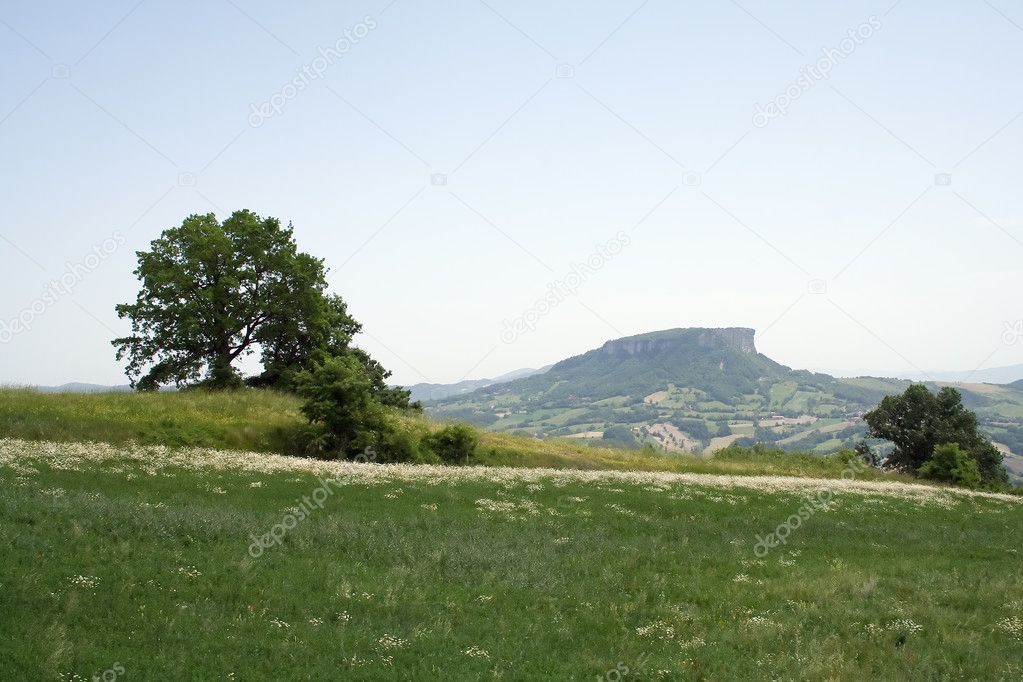 Landscape of the hills of Reggio Emilia