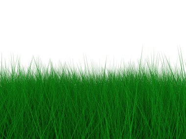 arkaplan için yeşil çimen