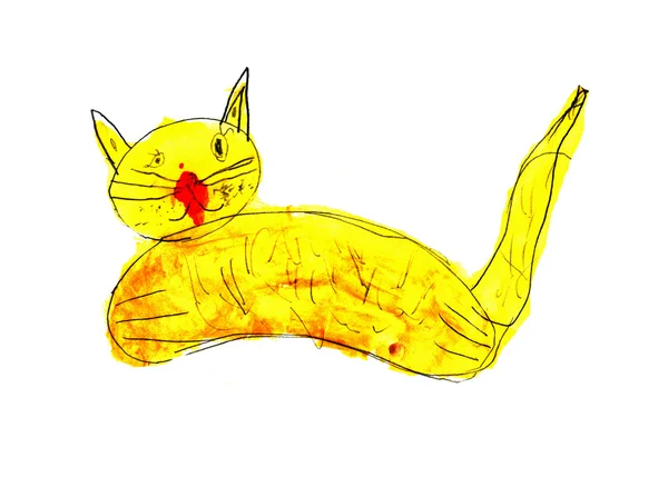 Желтая кошка — стоковое фото