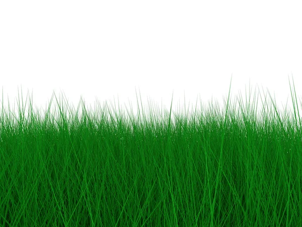 stock image Green grass for background